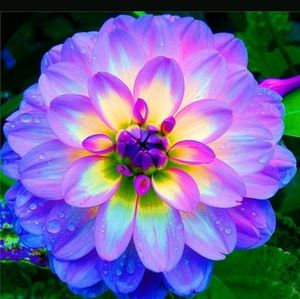 Meet your Posher, Jalisa